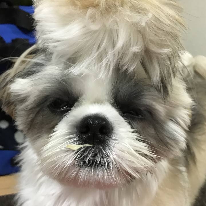 0bba9363 6038 4d9f b04d 5932f813965b