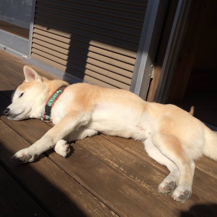 0bbad961 d399 4e86 8b60 4403d921b636