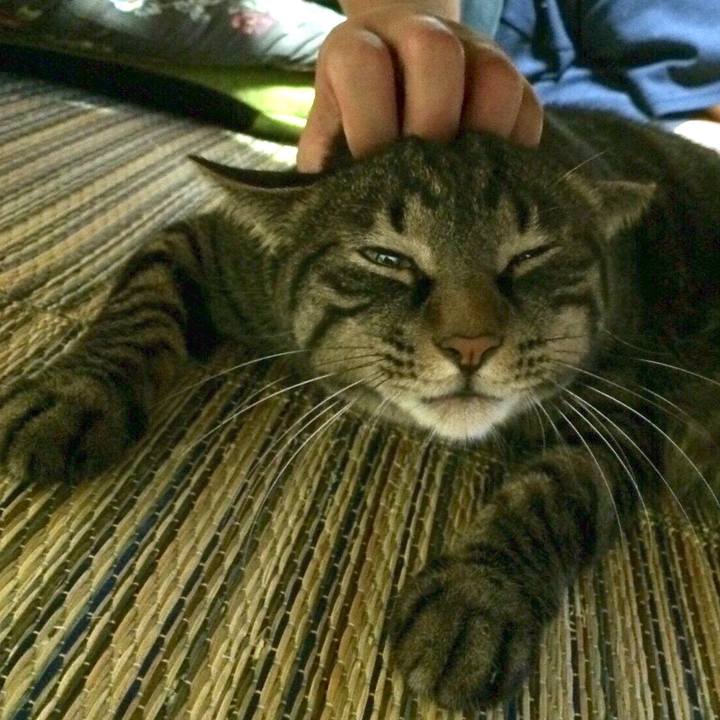 0bbb0963 c9f9 4c4f a057 9c1ea74254dc