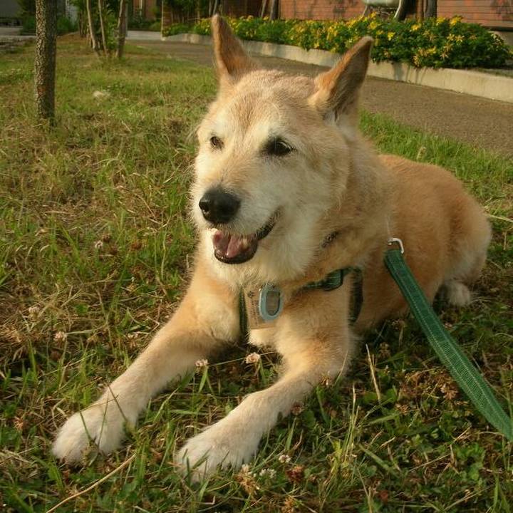 0bbba1d9 b9ac 467c 914a be6bf726a760