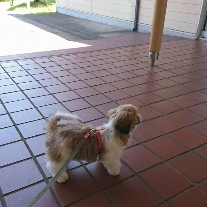 0bbc1f2a 6368 40d3 bba0 7b7f83d658ef