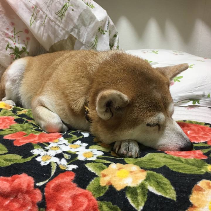 0bbc403f 908f 4953 907e 1ca8b5d5d1f3