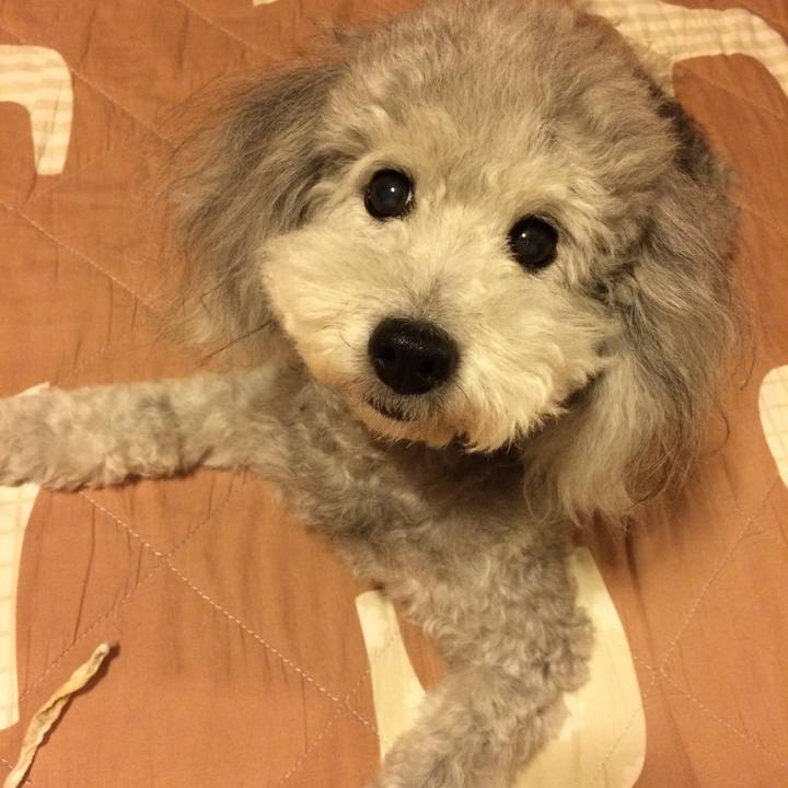 0bbd2a30 2b3e 4deb 8a9a 831814ec021d