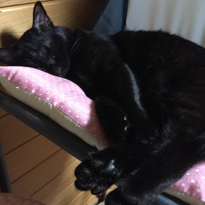 0bbda2ba f47e 4d6a ab55 c7727e349585