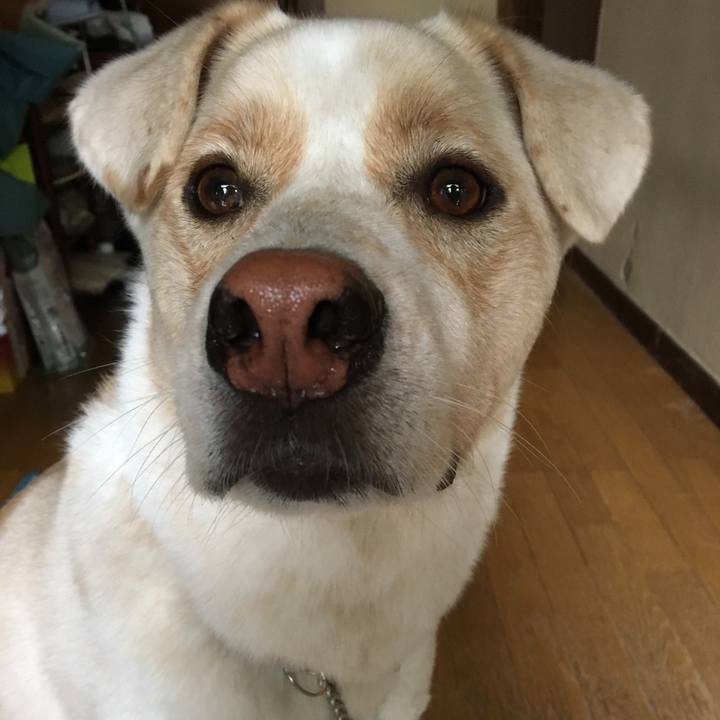 0bbde0f4 5e3c 4260 abe5 c9b80c4b8d25