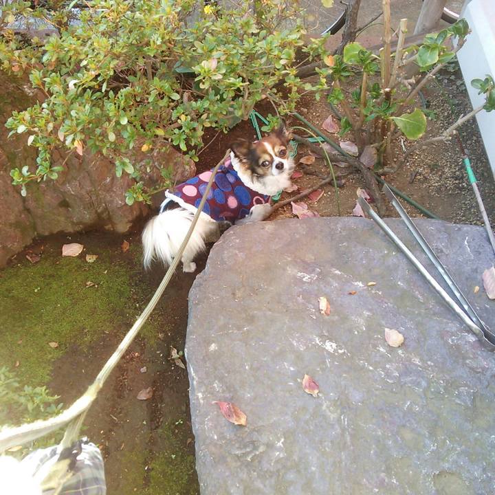 0bbdea85 83c7 41be b5ef 3b37a3b2e716