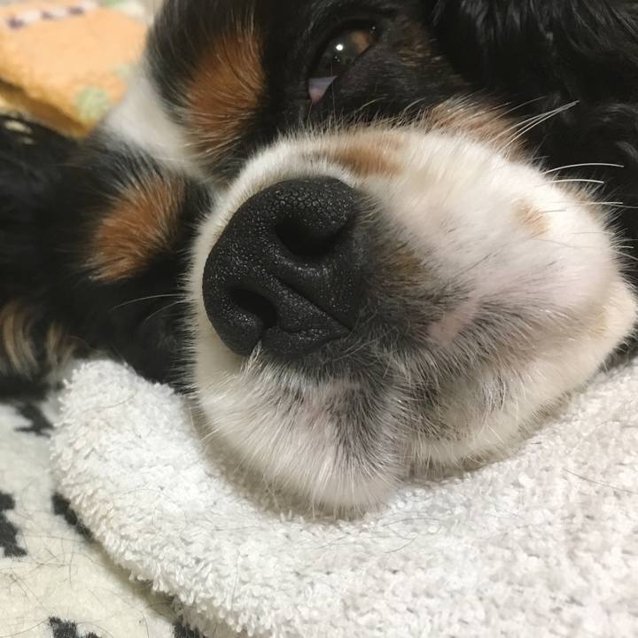 0bbe4755 31e4 44b4 9616 d7bbdeeb9a64