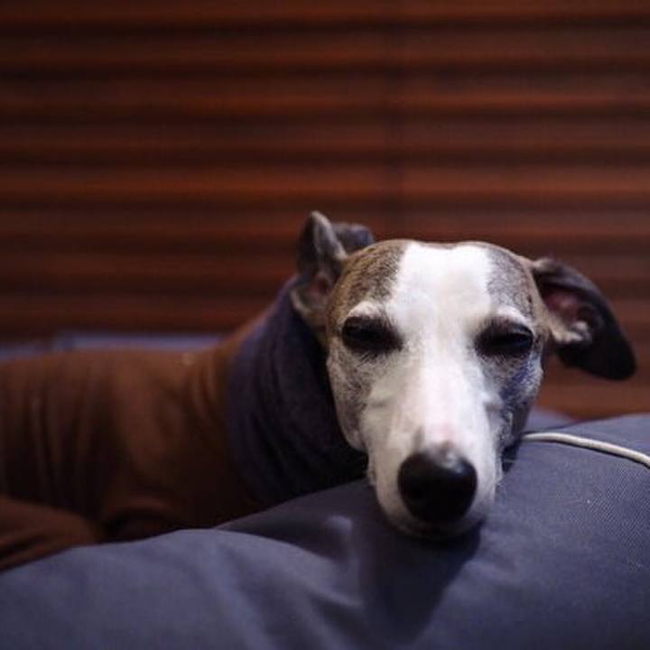 0bbeaf5e d842 4ac9 aab5 6a0837ce7235