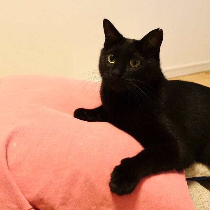 0bbec251 add9 4303 9293 e9b8579742bd