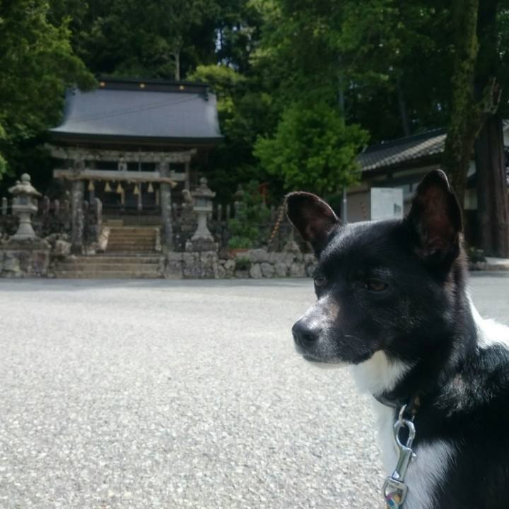 0bbef916 7c9c 468f 9b37 e432f2fee43f