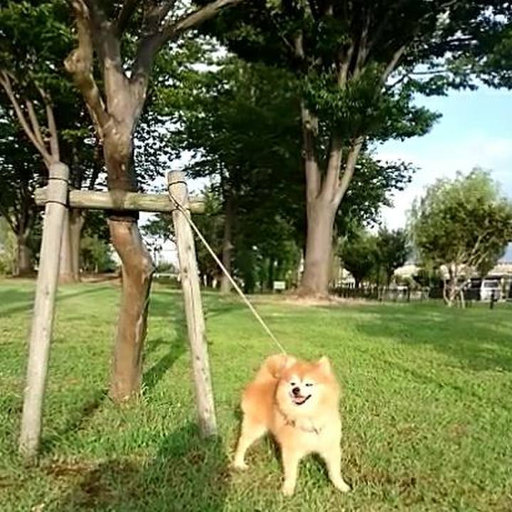 0bbf56d1 a0de 43c8 b4d8 99945927d98e