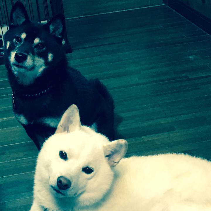 0bbf622d b0f7 41db 8fca b7503517e4fd