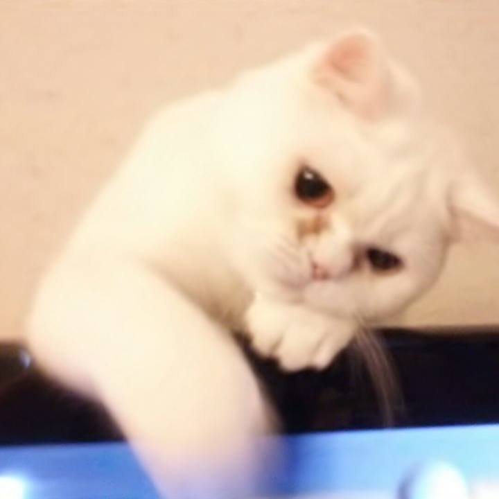 0bbfc16a b74a 4092 9885 0c78931891ab