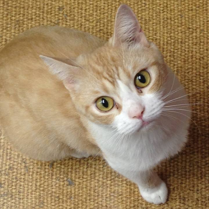 0bc038c1 ab84 4625 b169 198be1516973