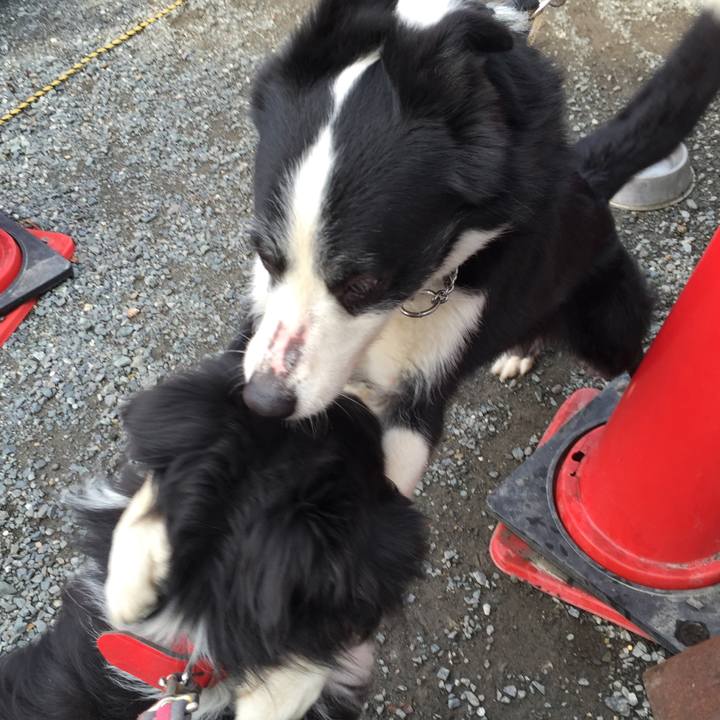 0bc0627e 799e 4fc6 8768 761cc41ddd39