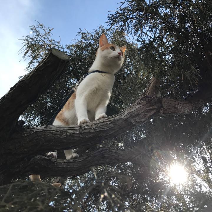 0bc12458 e993 4d8b 8d92 0bef0be28a35