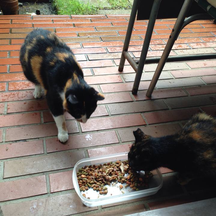 0bc1e572 db42 4ba5 aa70 a238fad788fc