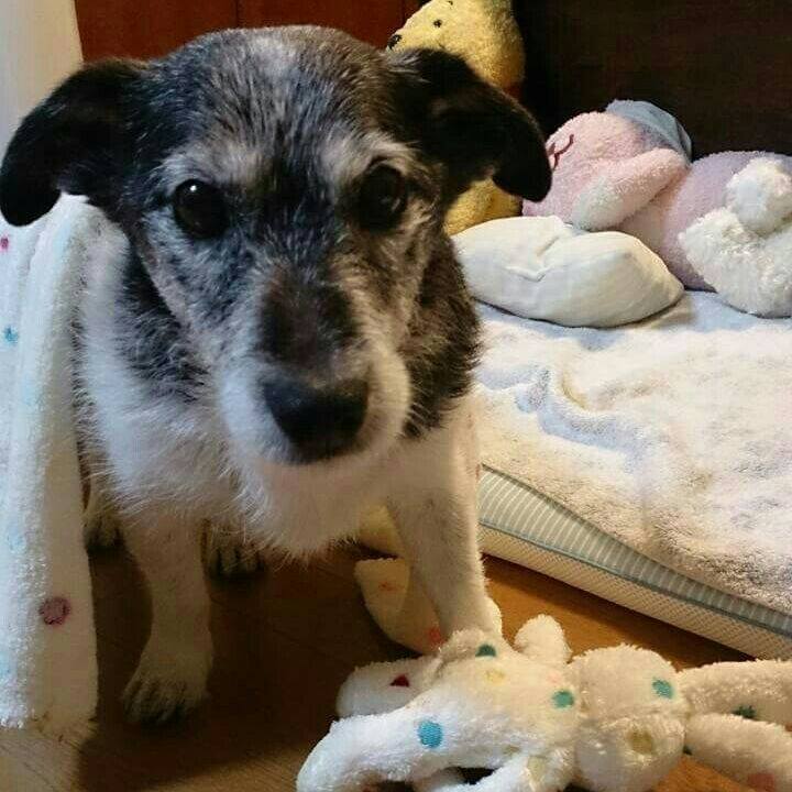 0bc4125b 13b4 4e61 aed8 e9c72a1c9522