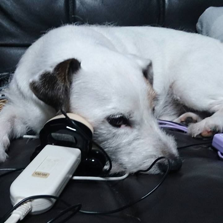 0bc538e6 1164 447c b579 0f4280eecf97