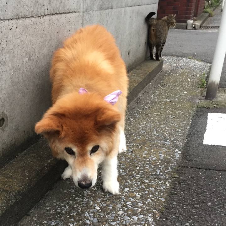 0bc5711d 5538 4011 9d28 1fc45cbf3e5e