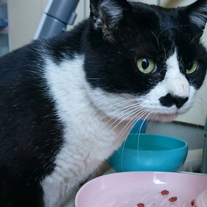 0bc5f88f b88c 4da1 8e4d d3a118963d3d