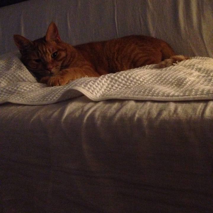 0bc61ca9 ff66 48ac 916d 3d459bfb3d14