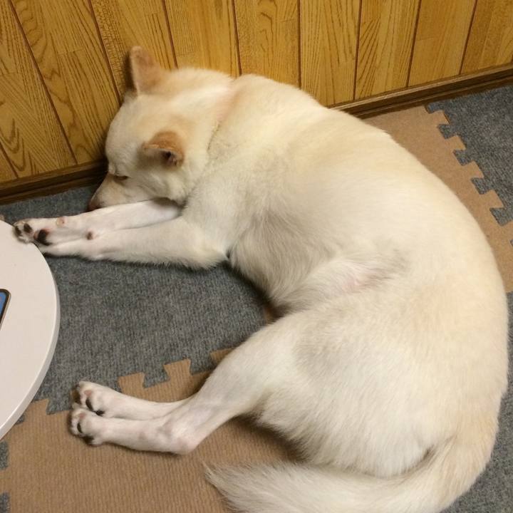 0bc62bfa fb9f 4853 9b0b 020dad763f07