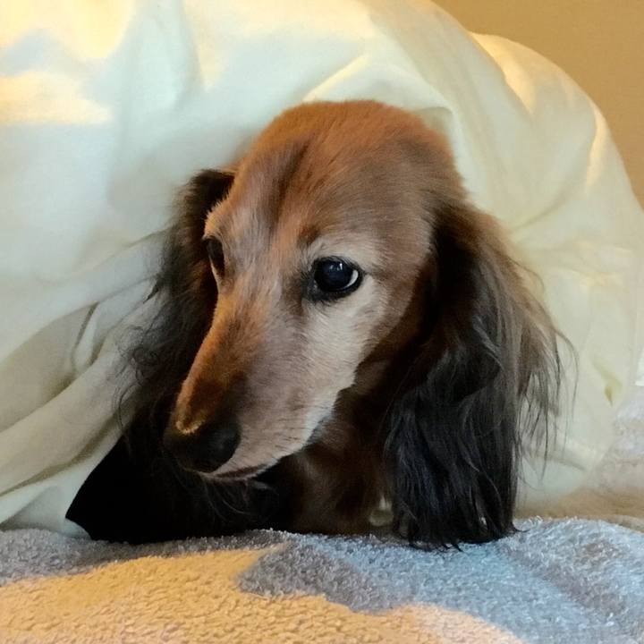 0bc6a9a8 b941 4e66 b9a9 c5583074c77f