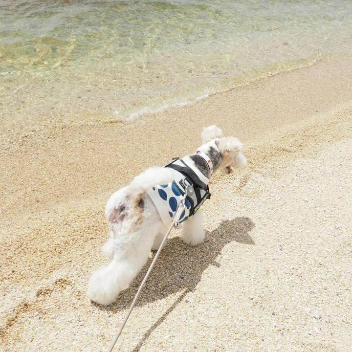 0bc6ad4d f505 4943 8852 d5b795940400