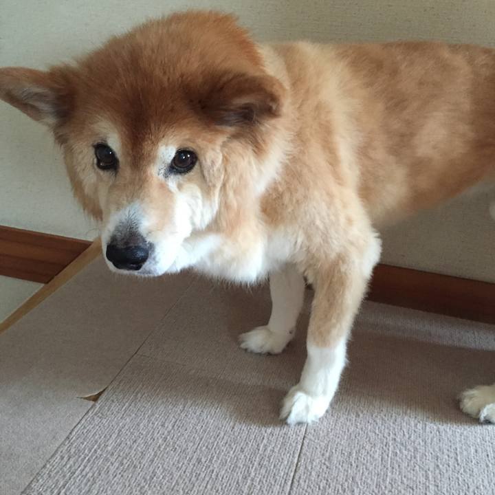 0bc71a27 ac75 4590 bf3f 28d405e98647