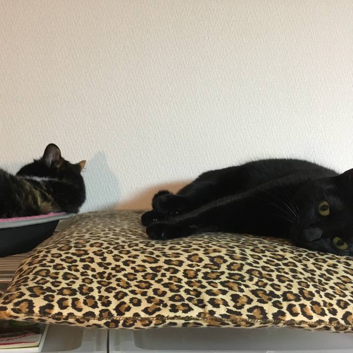 0bc7b8e7 96c1 4f3d a15f eff15a1cc9ea