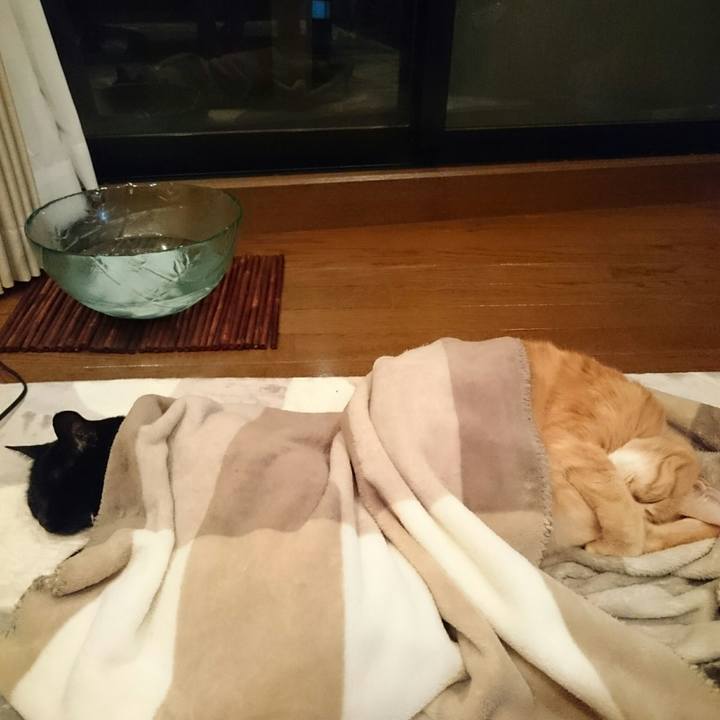 0bc7c2ae 4697 4109 b0aa 58ba61f7e0ff