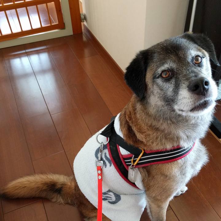 0bc83dec f5bb 484a 9249 5878468d9347