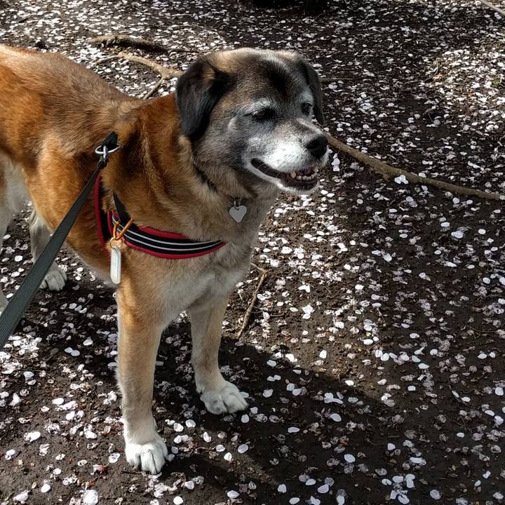 0bc8b1b3 3b29 4351 a76b 4b502c16093a