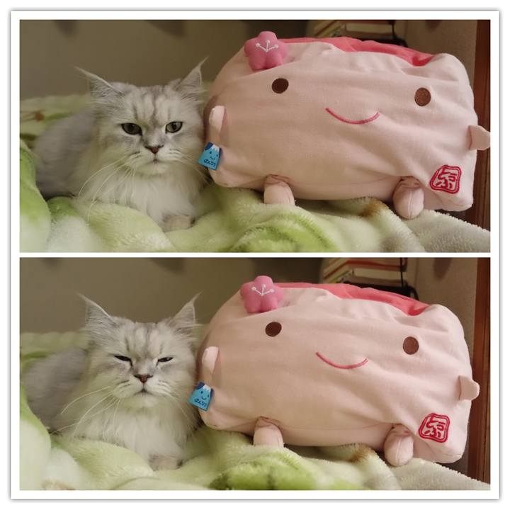 0bc93e10 c725 4380 a9c5 df5e927454e4