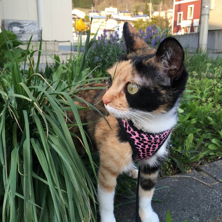 0bc96b3a e5bf 43ad 8b11 9cbc9fb0c989