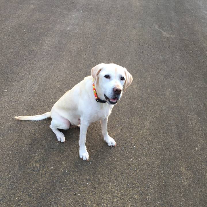 0bc9e52e 85c6 4ad7 88a9 0fc05c302081