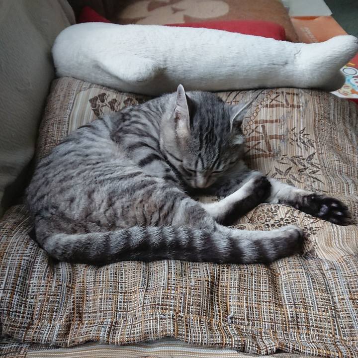 0bca1ea0 2b43 4329 8444 a0b9a68faea7