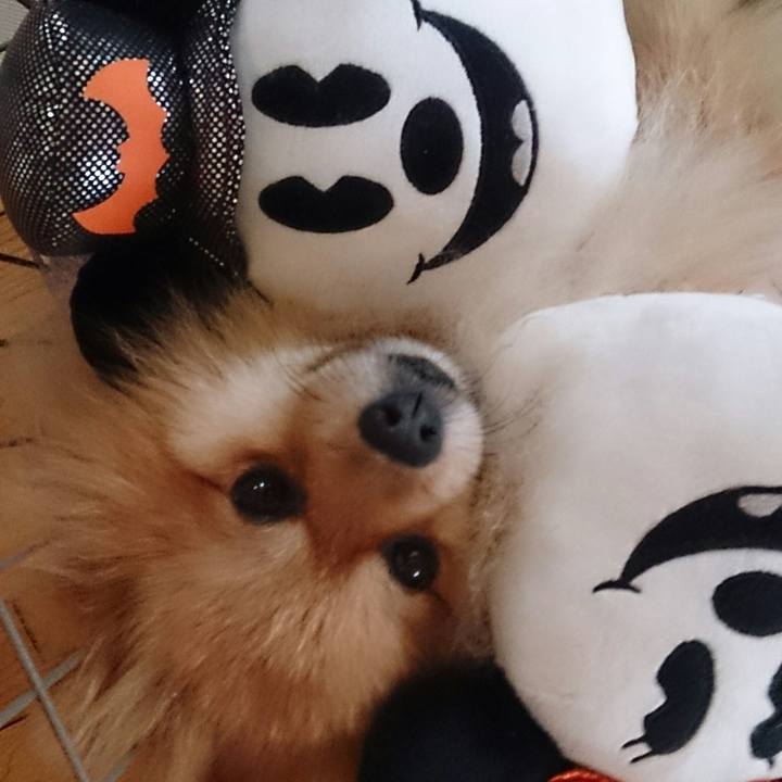 0bca8b13 dde7 49ad b3a5 7fccd38aa8d6