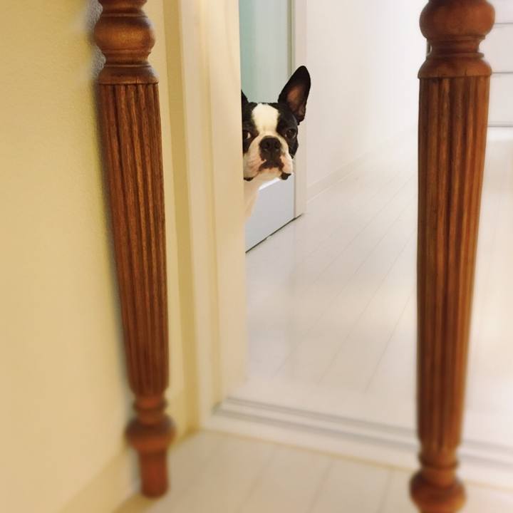 0bcb0737 8d49 41b2 a440 55b3fd97a1ae