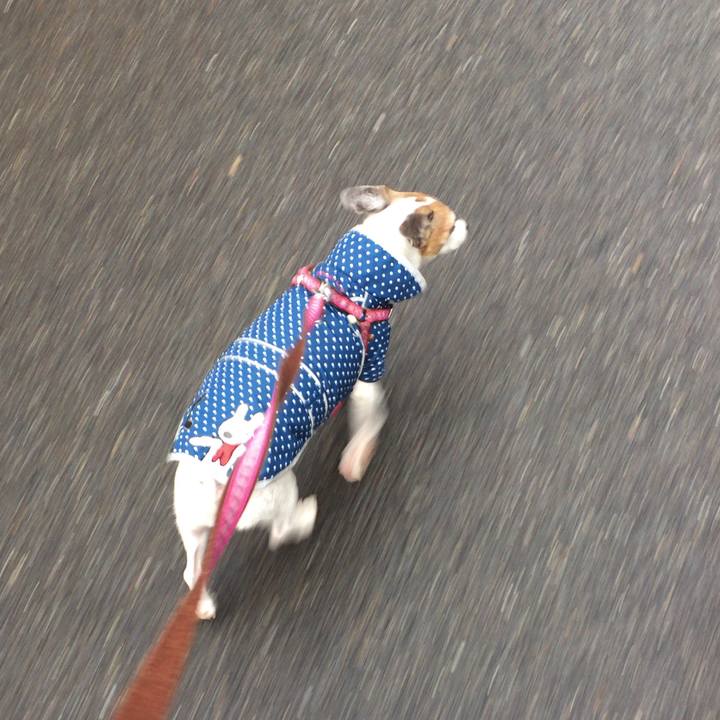 0bcb9211 9bce 4423 a88d fe9230eb7bbf