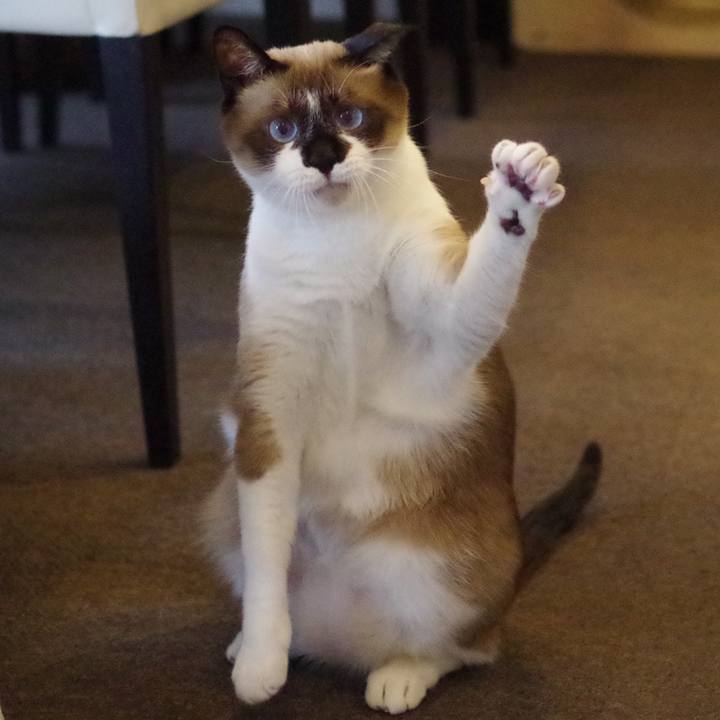 0bcc678c cafa 4ccd 8d07 fb685bc398b5