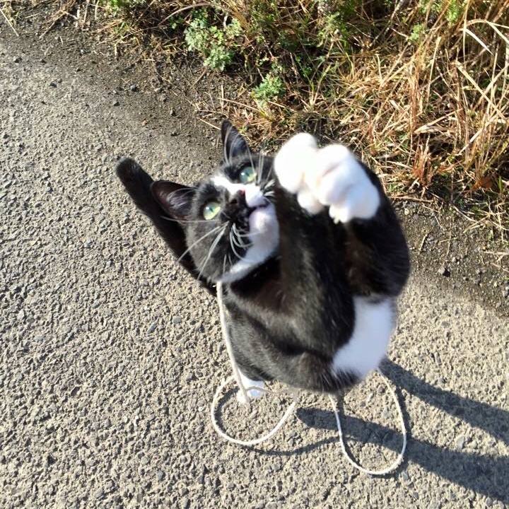 0bccad8d 854b 4dad 8a99 dbec0b2ab3fc