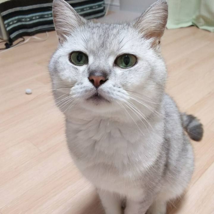 0bccc7be f56e 4d0f ab25 8a16b1883664