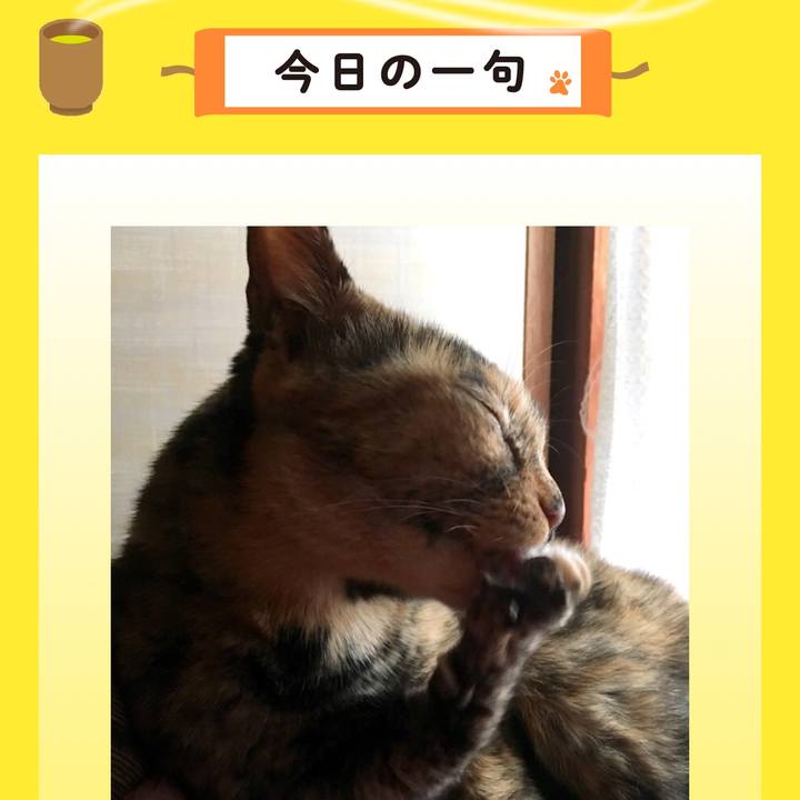 0bce0525 847e 429e a501 c85e92fc301b