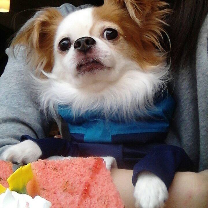 0bcf9715 0d9c 4d15 a01f e9f2be814310