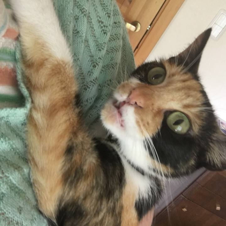 0bd05dfa c2e9 4918 9574 8db92f4b9389