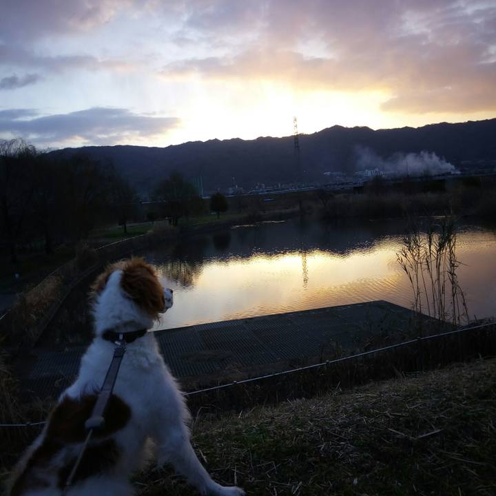 0bd123d2 236e 4e81 a65a 61355eba75f1