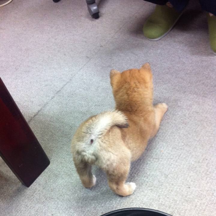 0bd1724b ad17 487c a6fb 6c1ab5144749