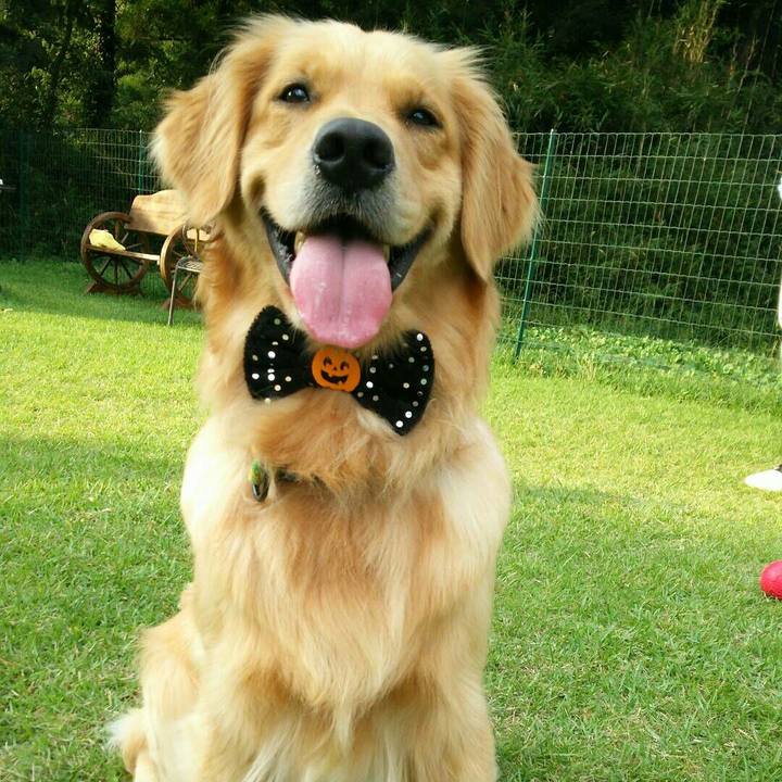 0bd1eb80 eeed 4828 9066 8aceb36b2f00